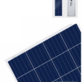 Solar Modules for global markets